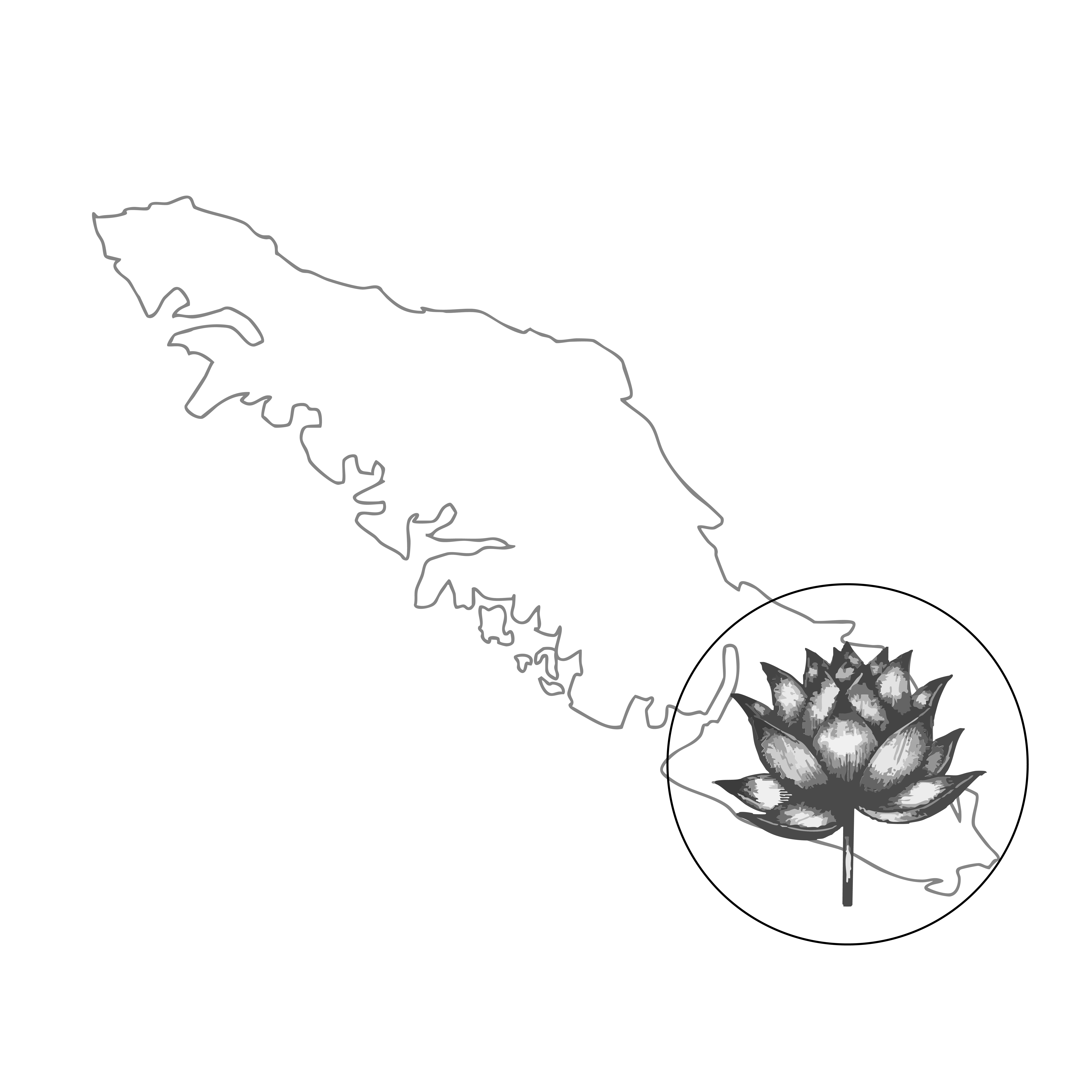 Map of lower-mid Vancouver Island service area