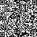 QR code for the Maestros Services Google review page